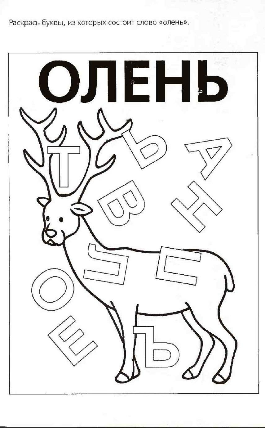 Лось задания для детей